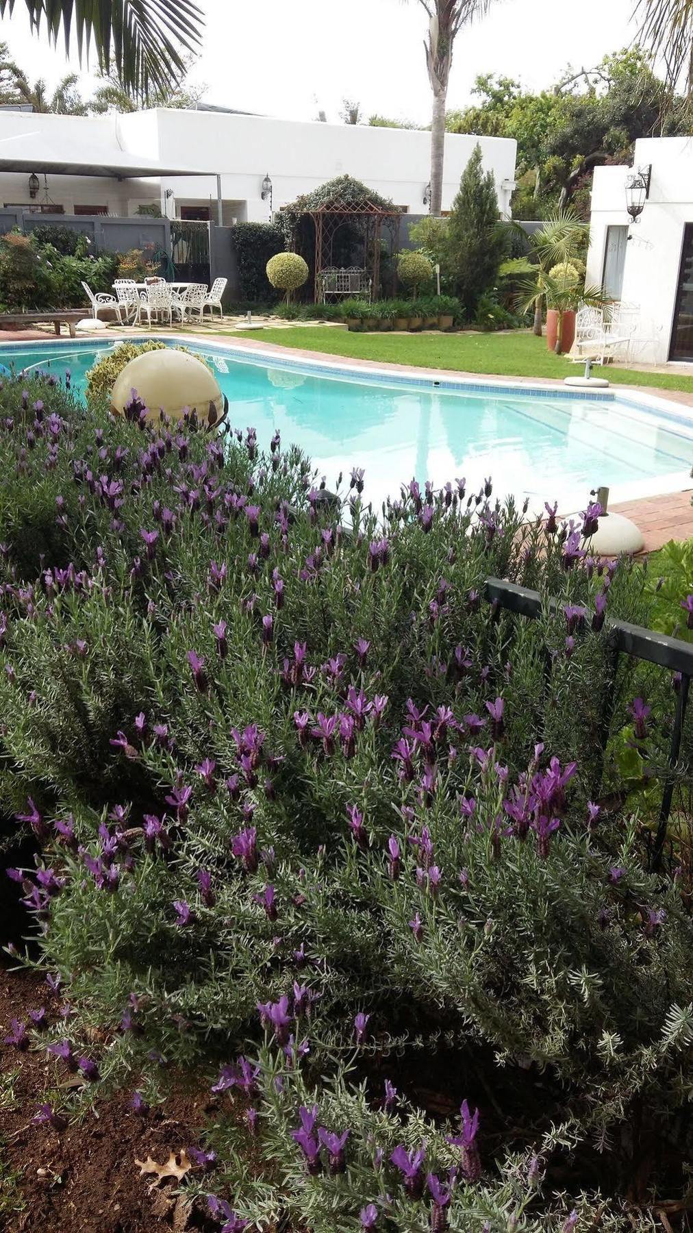 Cape Pillars Boutique Hotel Durbanville Esterno foto